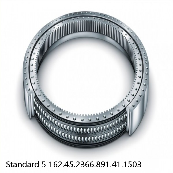 162.45.2366.891.41.1503 Standard 5 Slewing Ring Bearings