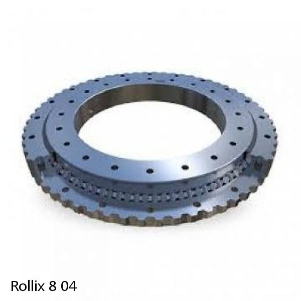 8 04 Rollix Slewing Ring Bearings