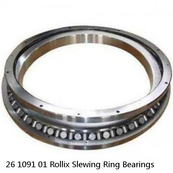 26 1091 01 Rollix Slewing Ring Bearings