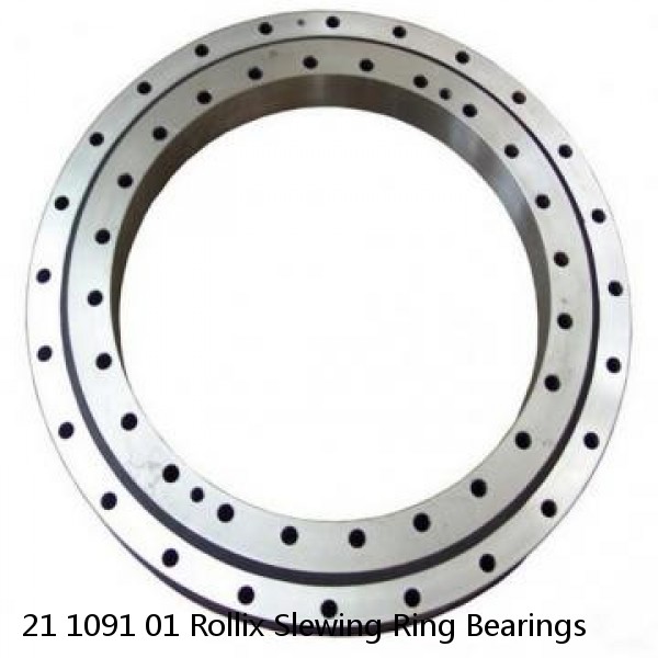 21 1091 01 Rollix Slewing Ring Bearings