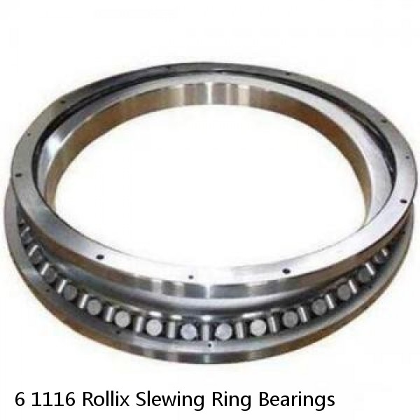 6 1116 Rollix Slewing Ring Bearings