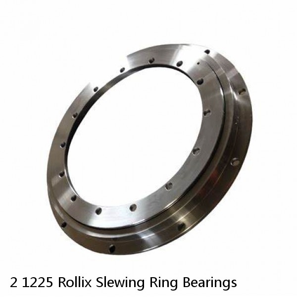 2 1225 Rollix Slewing Ring Bearings