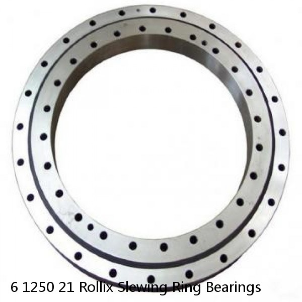 6 1250 21 Rollix Slewing Ring Bearings