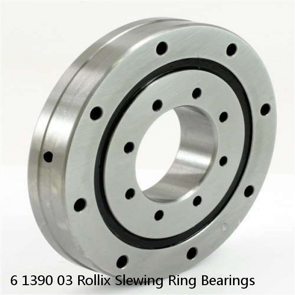 6 1390 03 Rollix Slewing Ring Bearings