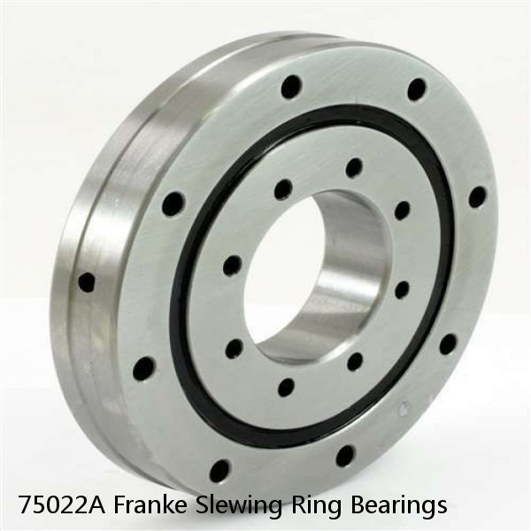 75022A Franke Slewing Ring Bearings