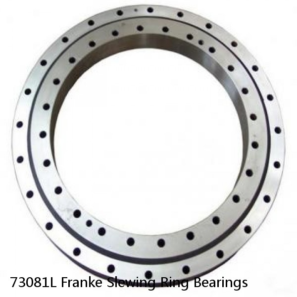 73081L Franke Slewing Ring Bearings