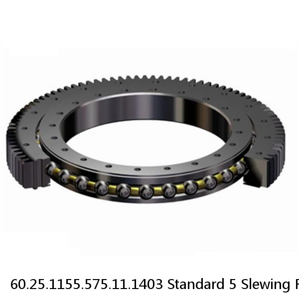 60.25.1155.575.11.1403 Standard 5 Slewing Ring Bearings