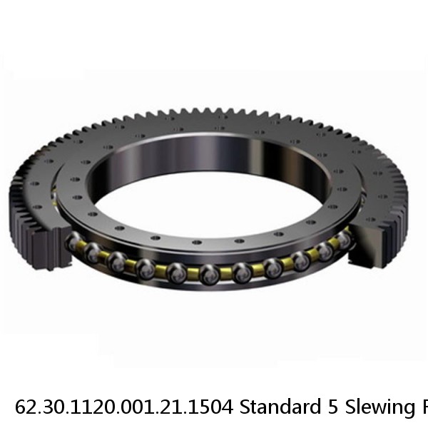 62.30.1120.001.21.1504 Standard 5 Slewing Ring Bearings