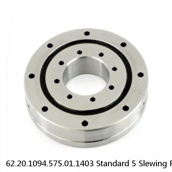 62.20.1094.575.01.1403 Standard 5 Slewing Ring Bearings