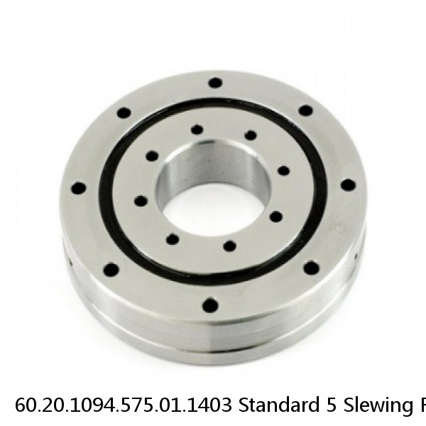 60.20.1094.575.01.1403 Standard 5 Slewing Ring Bearings