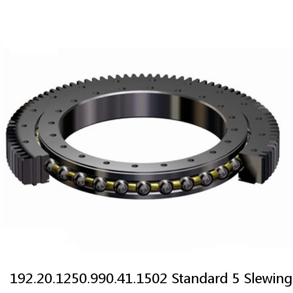 192.20.1250.990.41.1502 Standard 5 Slewing Ring Bearings