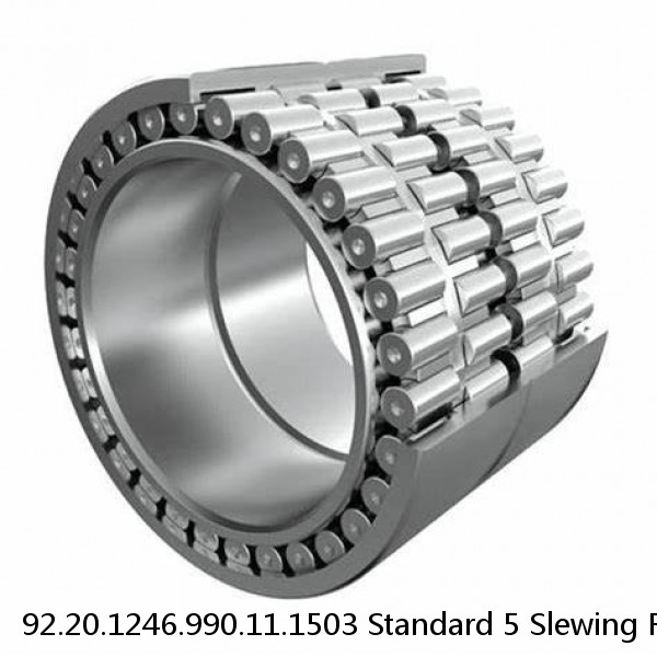 92.20.1246.990.11.1503 Standard 5 Slewing Ring Bearings