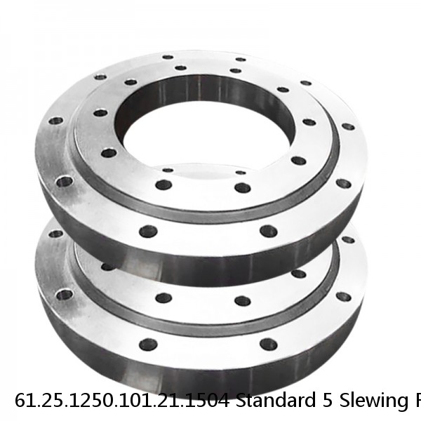 61.25.1250.101.21.1504 Standard 5 Slewing Ring Bearings