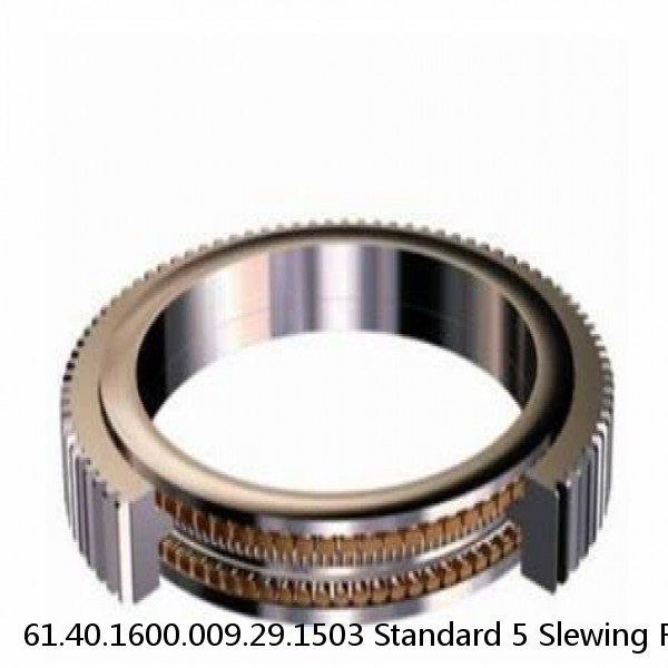 61.40.1600.009.29.1503 Standard 5 Slewing Ring Bearings