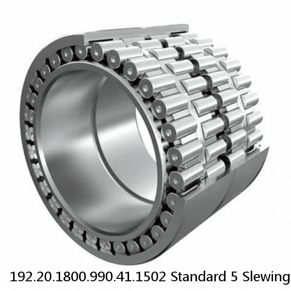 192.20.1800.990.41.1502 Standard 5 Slewing Ring Bearings