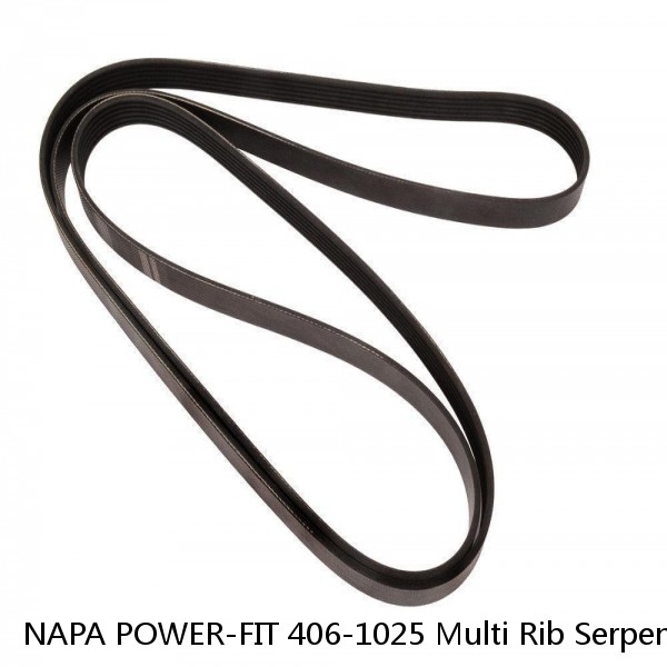 NAPA POWER-FIT 406-1025 Multi Rib Serpentine Belt