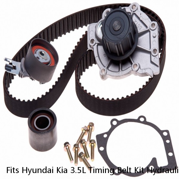 Fits Hyundai Kia 3.5L Timing Belt Kit Hydraulic Tensioner Water Pump Valve Cover